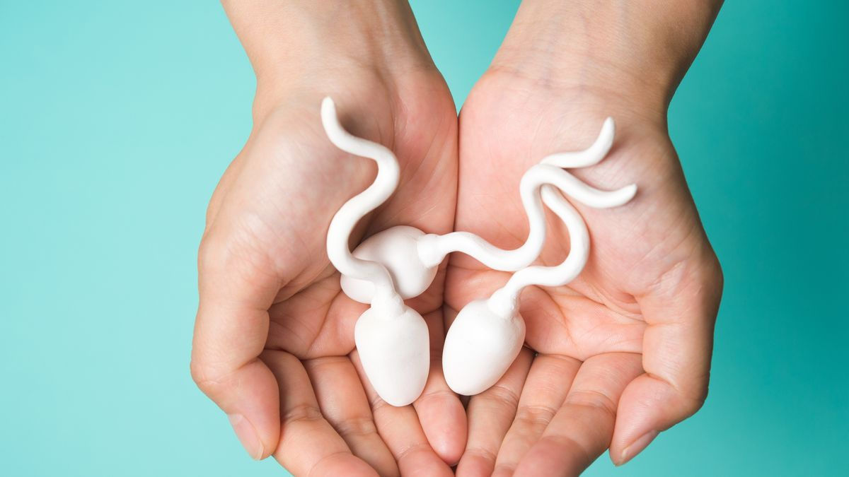 Đừng dại để điện thoại trong túi quần nếu như còn đang hiếm muộn 3 Tinh trung khoe manh la tinh trung dap ung duoc cac yeu to ve hinh dang so luong va the tich