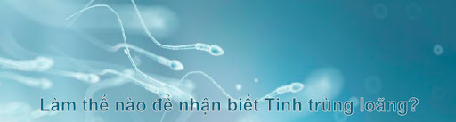 Tinh trùng loãng - nỗi lo vô sinh ở đàn ông? 3 image 2