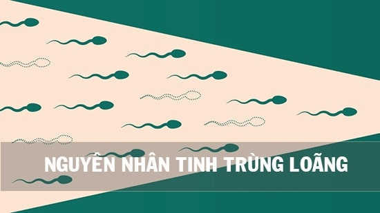 Tinh trùng loãng - nỗi lo vô sinh ở đàn ông? 4 image 3