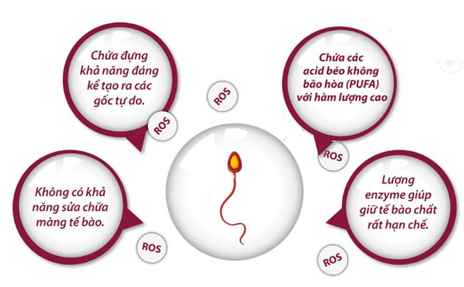 6 MẸO NHỎ TĂNG CƯỜNG SỨC KHOẺ TINH TRÙNG 7 screenshot 1756460338 1