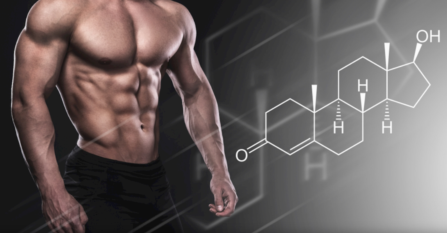 3 Lợi Ích Của Steroid Đối Với Người Tập Thể Hình, Gymer 2 screenshot 1756631397