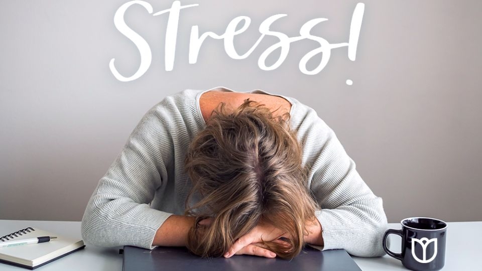 STRESS, CĂN BỆNH THỜI ĐẠI KHIẾN PHÁI MẠNH “KHÔNG CÒN MẠNH” 2 stress la gi 1