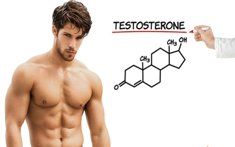 cach giu can bang testosterone hieu qua 2 1 30cb2d9b0d