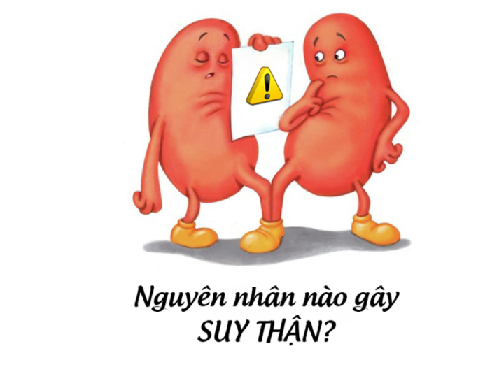 Nhận Biết Các Triệu Chứng Suy Thận Nhưng Nam Giới Thường Bỏ Qua 5 image 4
