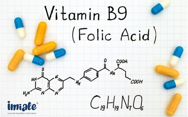 Những Loại Vitamin Hỗ Trợ Sinh Lý Tốt Dành Cho Quý Ông 4 image 8