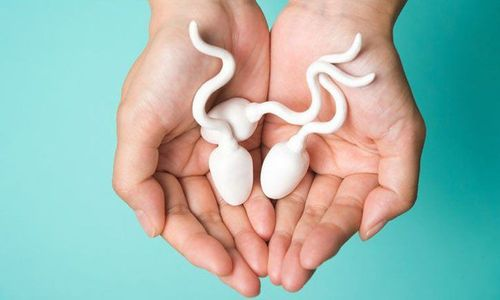 Tinh Trùng Yếu Uống Thuốc Gì? Lời Khuyên Từ Chuyên Gia 2 image 6