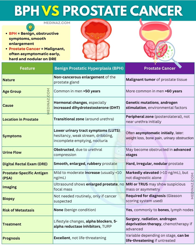 Difference Between Prostatitis BPH and Prostate Cancer