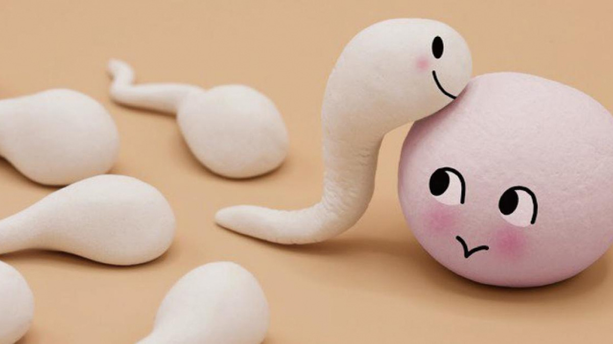 ava 1533702075 44 width640height480schemaarticle 1579705750314264093836