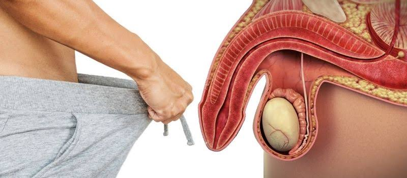 Is Erectile Dysfunction Only a Problem for Older Men? The Truth May Surprise Younger Men 3 image 100