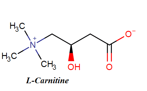 Does L-Carnitine Improve Sperm Motility? 3 image 11