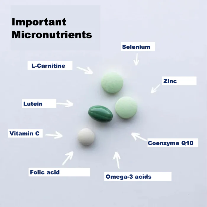 Orthomol Fertil Plus Review: Does It Help Improve Male Fertility? 3 image 21