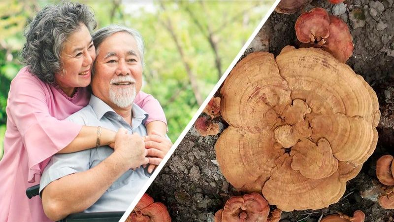 PYGTADENAN TABLETS: ARE THEY EFFECTIVE? IN-DEPTH REVIEW, BENEFITS & DETAILED USAGE GUIDE 3 image 56