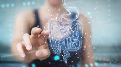 Why Can Probiotics Support Male Sexual Health? How Is Probiotics Plus for Men Related? 5 image 19