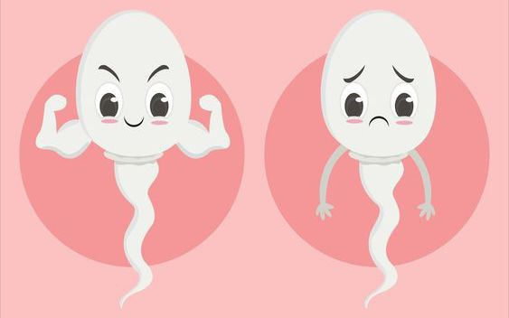 Watery Semen: Causes, Symptoms, Fertility Impact, and Effective Treatments 5 image 4