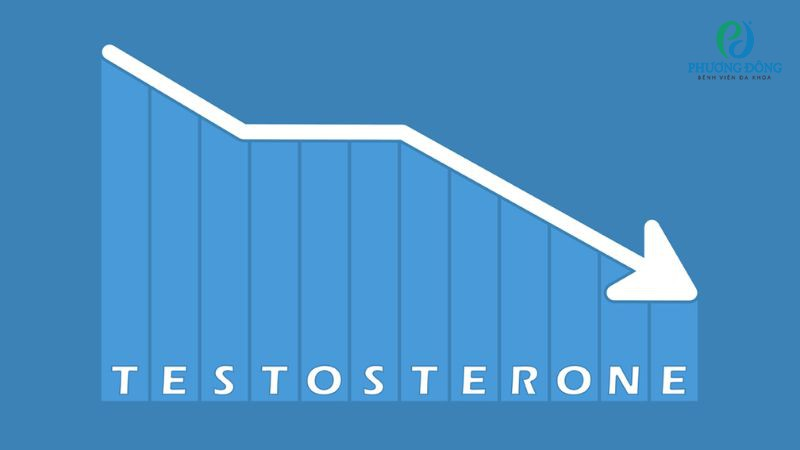 Does a Bigger Penis Mean Higher Testosterone? Here's What Men Need to Know 3 image 74