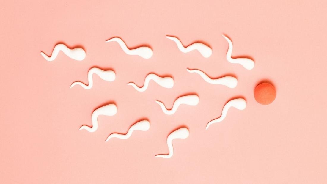 Does a Bigger Penis Mean Higher Testosterone? Here's What Men Need to Know 4 image 75