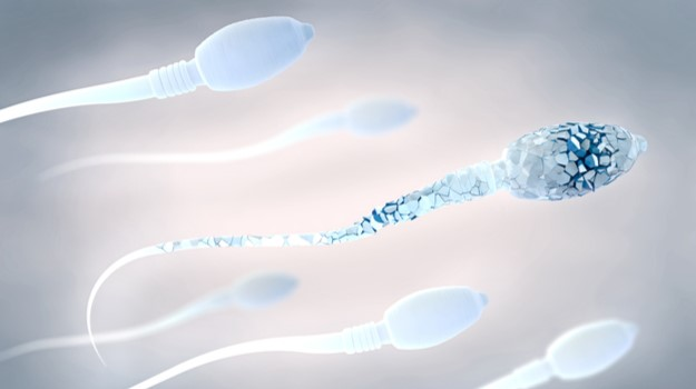 The Silent Obstacle to Fertility: Understanding Sperm DNA Fragmentation 5 image 9