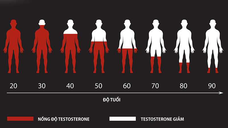 The Difference Between Age-Related Physiological Testosterone Decline and Male Hypogonadism 3 image 37