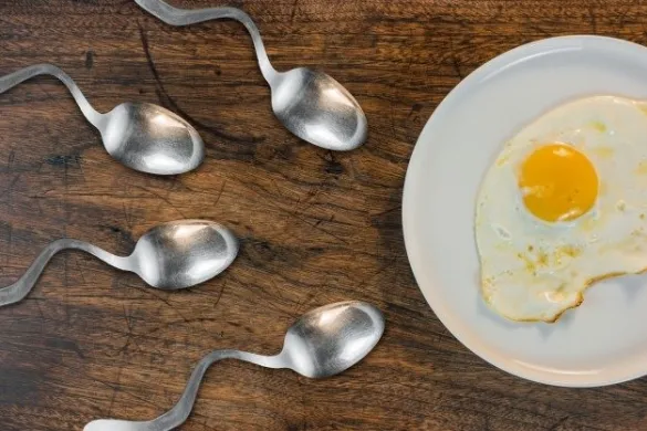 How To Improve Sperm Quality? 2 image 9