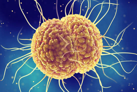 Pharyngeal Gonorrhea Testing in Men: Procedure, Signs, and Treatment 2 image 111