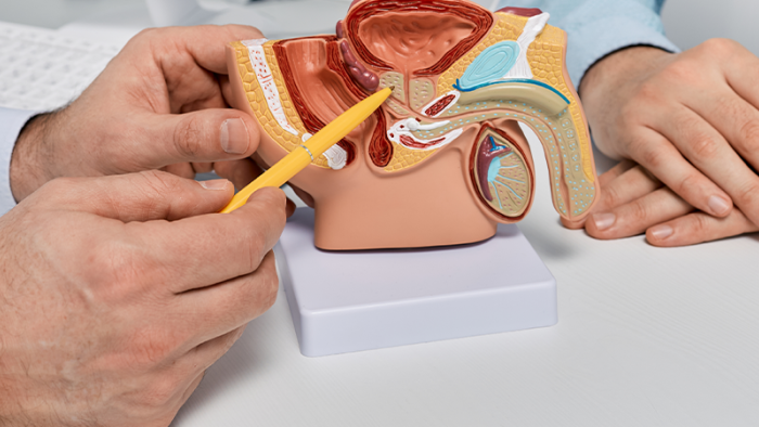Delayed Ejaculation: Difficulties Achieving Orgasm in Men and Solutions 2 image 13