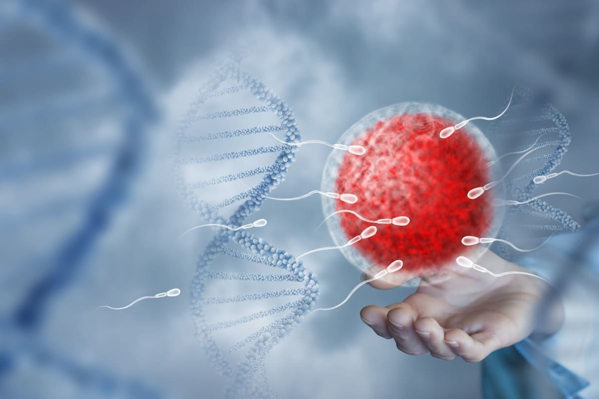 Male Infertility: Causes, Signs, and Treatment Options 3 image 21