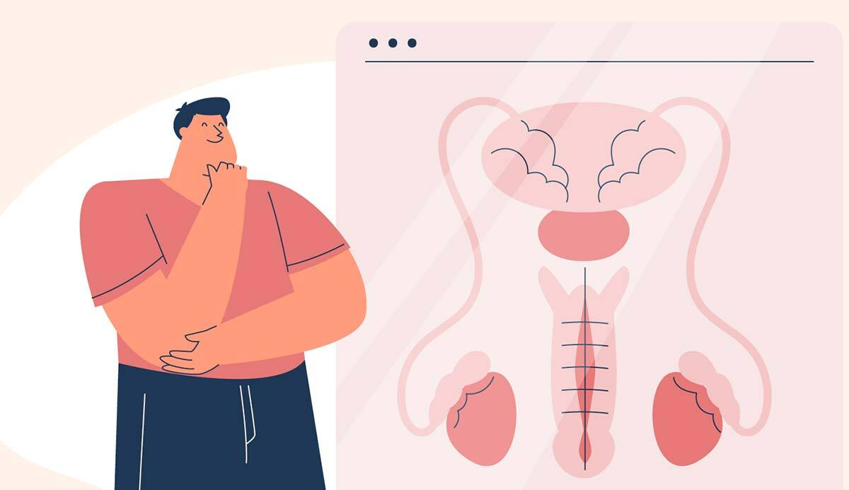 Unequal Testicle Size: Causes & When to Be Concerned 2 image 43