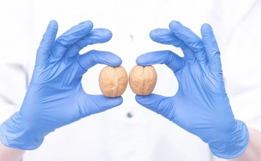 Undescended Testicle: Causes, Signs, and Medical Treatment 2 image 52