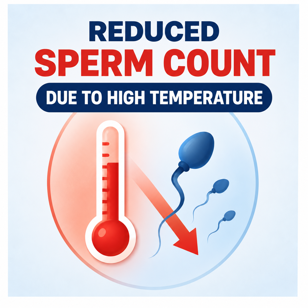 Sperm Reduction Due to High Temperatures: Can Medication Cure It?