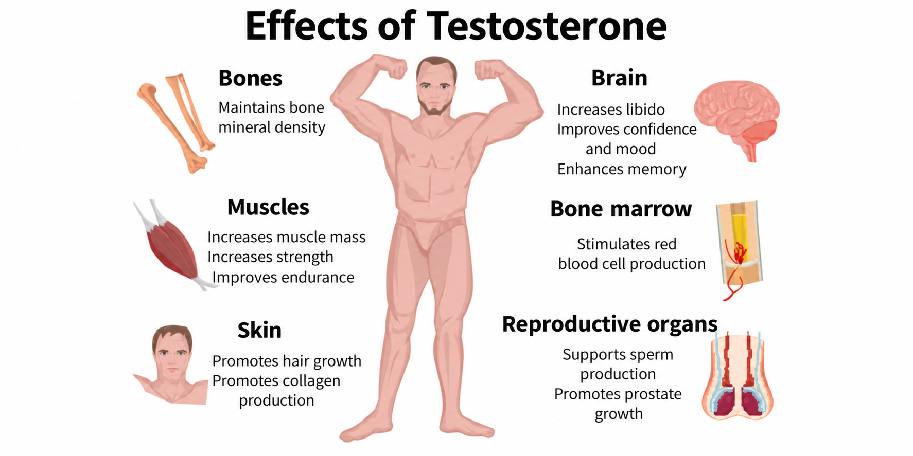 Signs of Testosterone Deficiency in Men: How to Recognize Them? 3 image 48